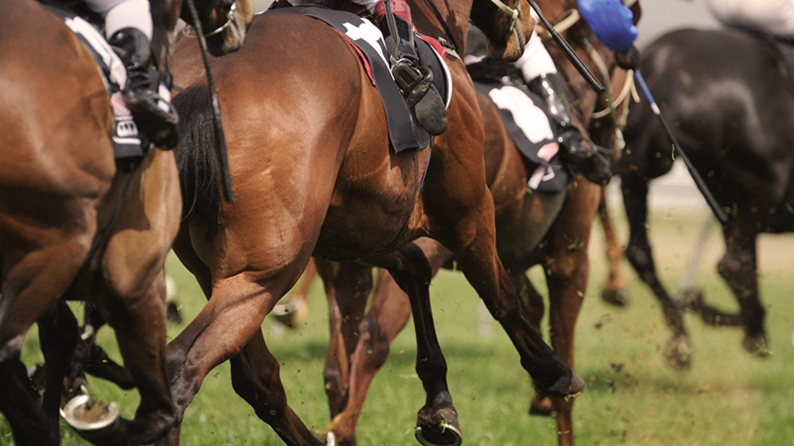 The UK’s Finest Horse Racing Days SL.Man