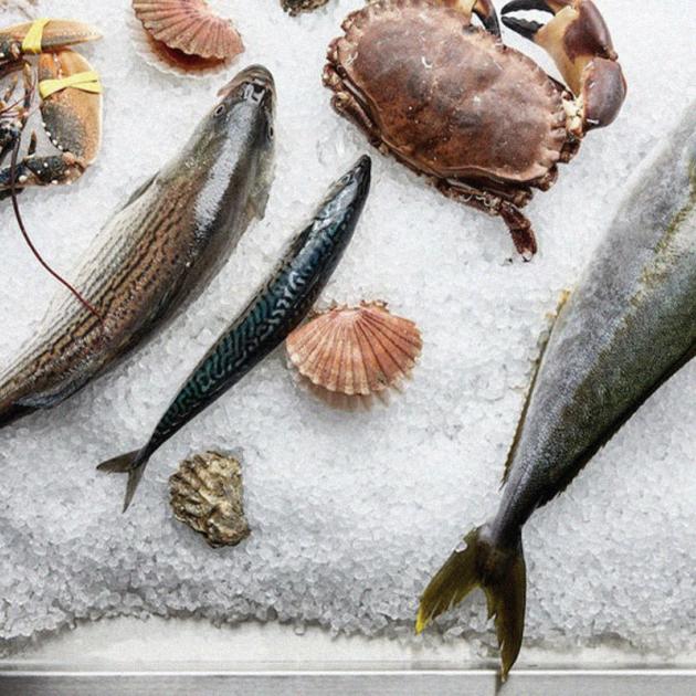 Premium Photo  Two fish on a tray with a sprinkle of seaweed on the side